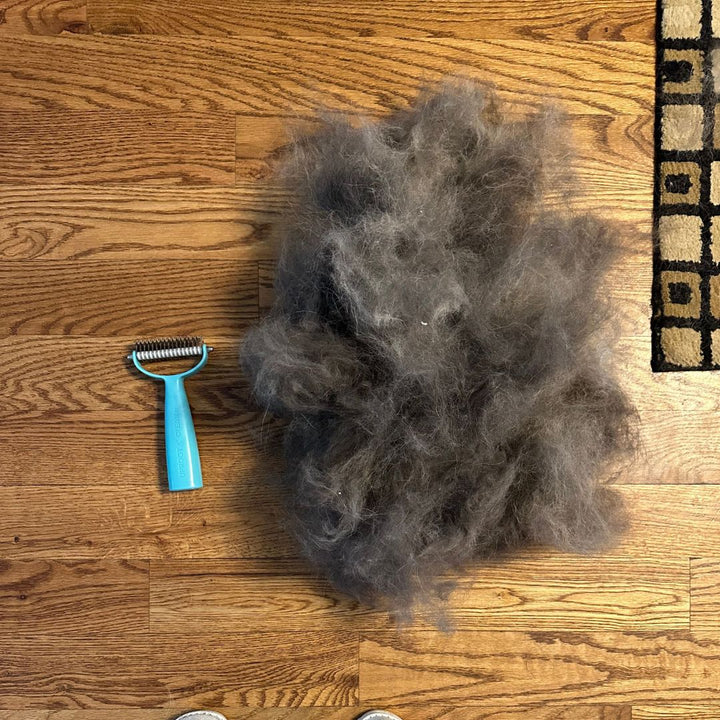 Cozee Cat and Dog Brush