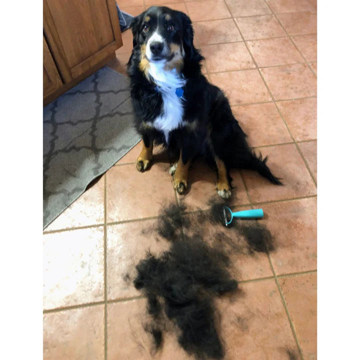 Cozee Cat and Dog Brush