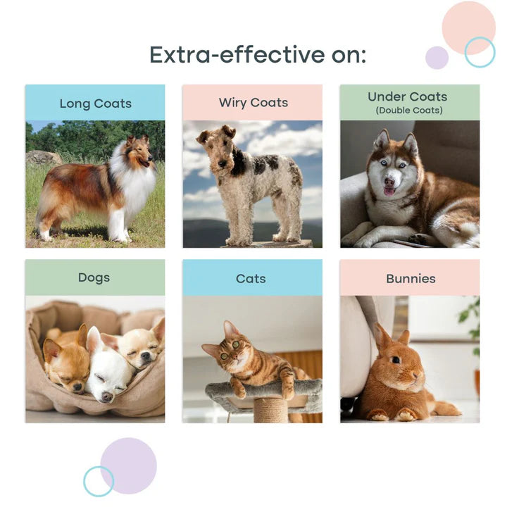 Cozee Cat and Dog Brush