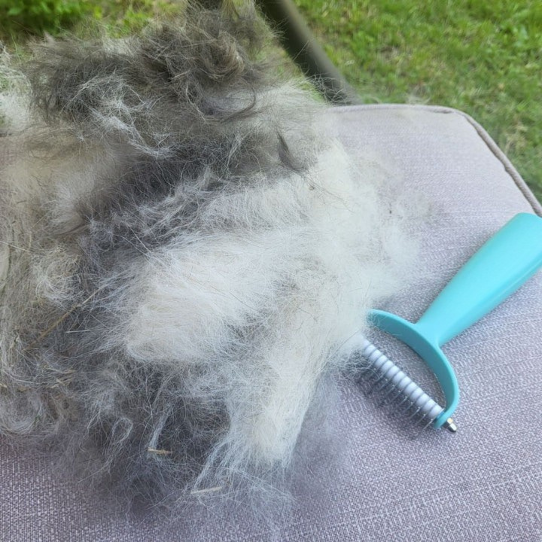 Cozee Cat and Dog Brush