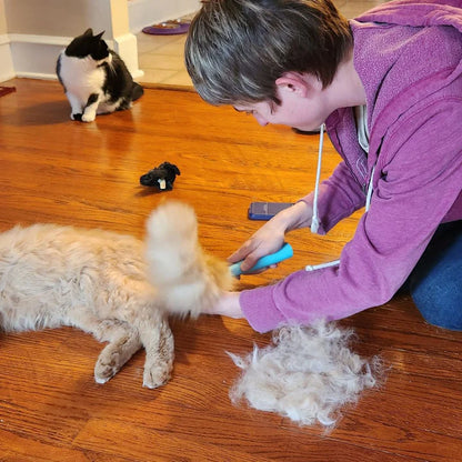 Cozee Cat and Dog Brush