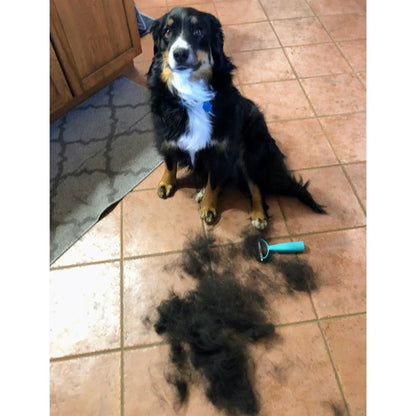 Cozee Cat and Dog Brush
