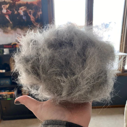 Cozee Cat and Dog Brush