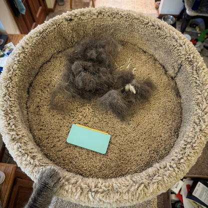 Complete Home Survival Kit - All Cozee Cleaners