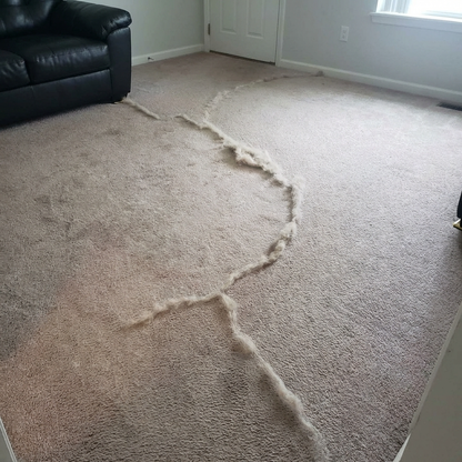 Complete Home Survival Kit - All Cozee Cleaners