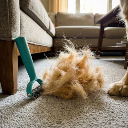 Cozee Cat and Dog Brush