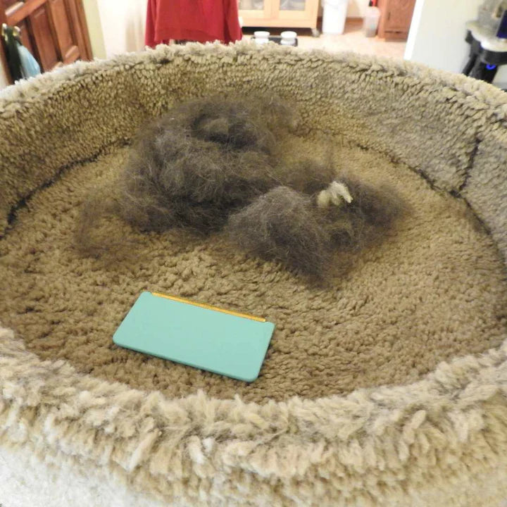 The Ultimate Cozee Clean Bundle - All Cleaners & Deshedder