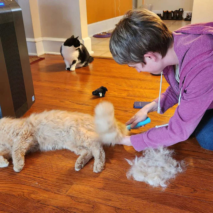The Ultimate Cozee Clean Bundle - All Cleaners & Deshedder
